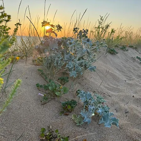 Holiday home Mobile 198 Saint-Denis-d'Oleron